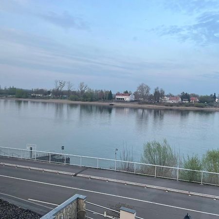 Pension Nierstein Bei Mainz エクステリア 写真